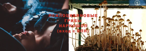 spice Арсеньев
