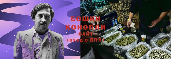 spice Арсеньев